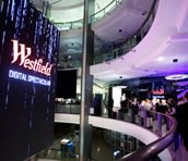 Workshop Events: Event Management Company Sydney